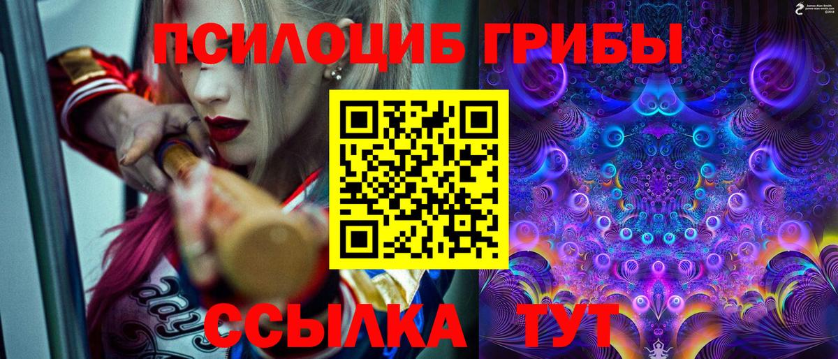 Псилоцибиновые грибы Cubensis  Вход с VPN  Псилоцибиновые грибы Psilocybe  Великий Новгород 