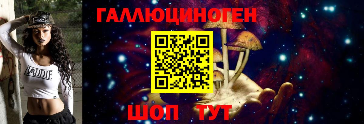 Псилоцибиновые грибы MAGIC MUSHROOMS Великий Новгород