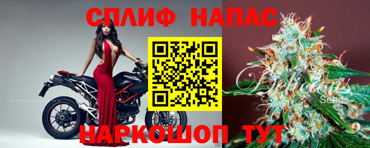 Канабис ГИДРОПОН Великий Новгород